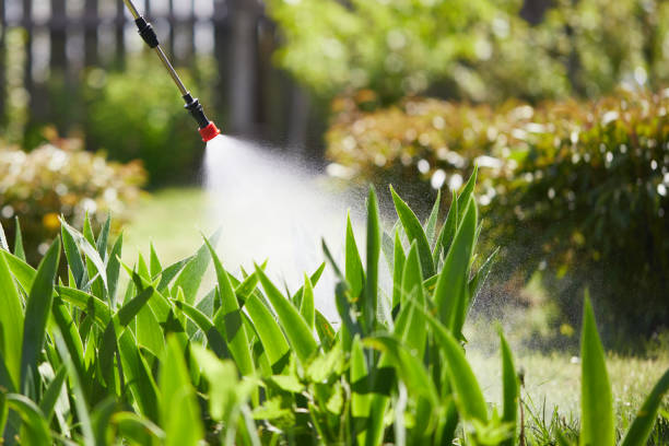 Void Injection for Cockroach Colonies in Evadale