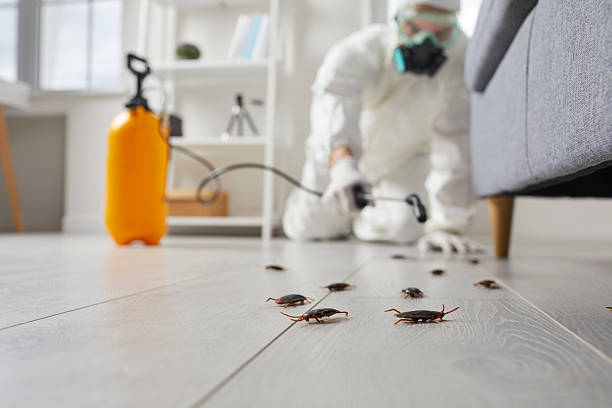 Commercial Kitchen Cockroach Control in Evadale
